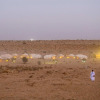 Отель Royal Peepli Desert Camp, фото 5