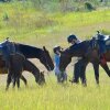 Отель Sundance Guest Ranch, фото 15