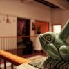 Отель Hostal Rotamundos Casa Frida, фото 5