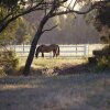 Отель Brookleigh Estate, фото 8