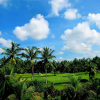 Отель Puri Suksma Ubud, фото 20