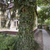 Отель Villa Ricz, фото 29