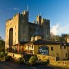 Отель Bunratty Holiday Homes, фото 6