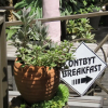 Отель Lost Trail Bed and Breakfast, фото 32
