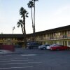 Отель Tropics Motor Hotel, фото 16
