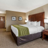 Отель Quality Inn & Suites, фото 7