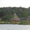 Отель Ngamba Island Tented Camp, фото 12
