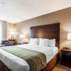 Отель Comfort Inn, фото 3