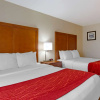 Отель Comfort Inn South, фото 7
