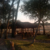 Отель The Tree Lodge at Sikumi, фото 5