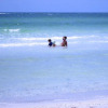 Отель Anna Maria Island Beach Sands, фото 21