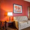 Отель Comfort Inn & Suites, фото 6