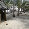 Отель Cabañas Demar Achudup, San Blas, фото 13