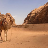 Отель Um Al Tawaqi, фото 7