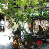 Отель Lijiang Shu Ying Ke Zhan, фото 11