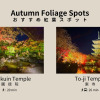 Отель BON Kyoto Kiyomizu, фото 9