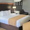 Отель Comfort Inn & Suites Near Universal - N. Hollywood - Burbank, фото 21