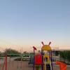 Отель Al Ghoroub Farm Stay - مزرعة الغروب للإيجار اليومي, фото 12