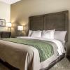 Отель Comfort Inn & Suites, фото 6