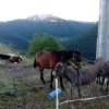 Отель Agri-b&b Lou Col, фото 4