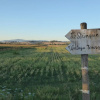 Отель Agriturismo Le Stringaie, фото 16