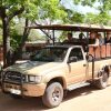 Отель Wild Dogs Safari Lodge, фото 47