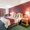Отель Red Roof Inn & Suites Knoxville East, фото 4