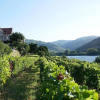 Отель Quinta de S. Bernardo Winery & Farmhouse, фото 18