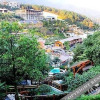 Отель Longwan Hot Springs Esort Mt.lushan Jiangxi, фото 20