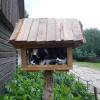 Отель Zagrodowa Osada, фото 2