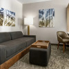 Отель SpringHill Suites Belmont Redwood Shores, фото 22