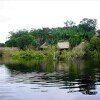 Отель Tariri Amazon Lodge, фото 10