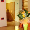 Отель Apartment Vanja, фото 2