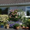 Отель Meadow View B&B, фото 1
