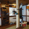 Отель Hakuba Ryokan MINAMIYA & Cat Cafe MINAMIYA, фото 16