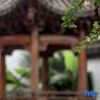Отель Yuliang Sincerity Homestay, фото 10