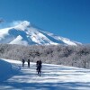 Отель Hostal Montaña, фото 8