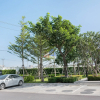 Отель Baan Kiang Fah By Favstay, фото 8