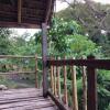 Отель Tanna Volcano View Treehouse, фото 20