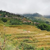 Отель Zihome Hmong House, фото 26