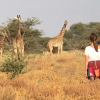 Отель Maasai Simba Camp, фото 13