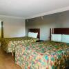 Отель Budget Inn and Suites, фото 3