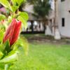 Отель Rancho Los Chatos, фото 24