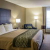 Отель Comfort Inn, фото 7