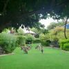 Отель South-West getaway! Pool, tennis & Foxtel, фото 20