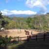 Отель Establo San Rafael Natural Horsemanship, фото 19