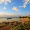 Отель Beach Walk Homestay, фото 15