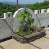 Отель El Castillo Monte Campana, фото 12