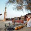Отель Al Marmoom Oasis 
