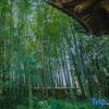 Отель Wangshan Life Fishing Snow Garden Natural Aesthetics Homestay (Huangshan Xixinan Ancient Village), фото 1